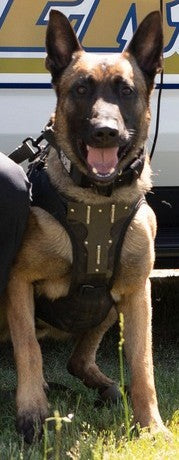 K9 Sam - Lexington County Sheriff's Department - South Carolina