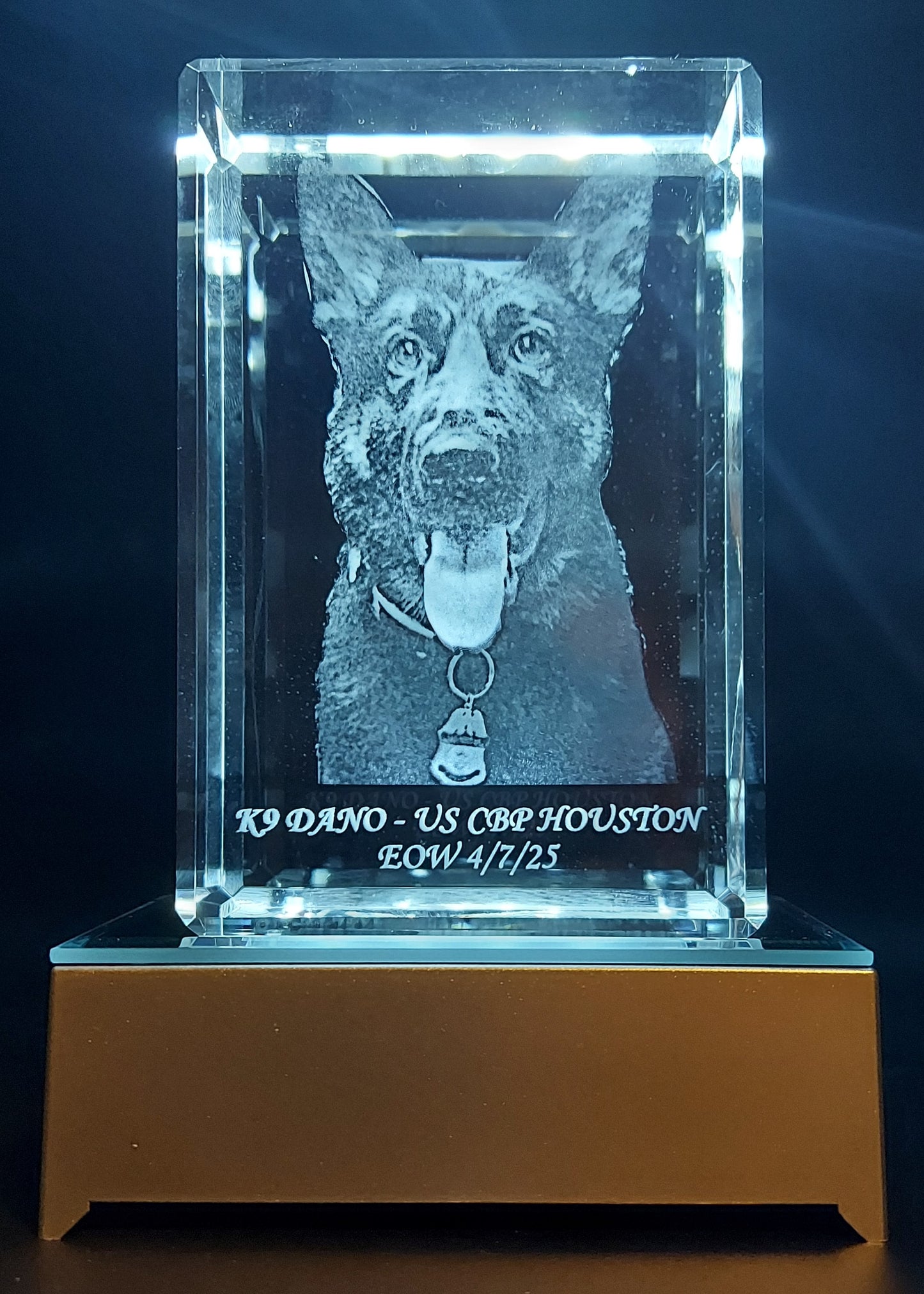 3D Crystal Photo Portrait Engraved with your photo - Mother's Day, Father's Day, Memorial, Mom, Dad, Wife, Pet, 3D Picture in Crystal Gift