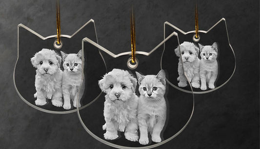 2D Photo Crystal Cat Ornament Engraved with your photo Personalized Gift, Mother's Day, Father's Day, Valentine's, Mom, Dad, Pet, Christmas