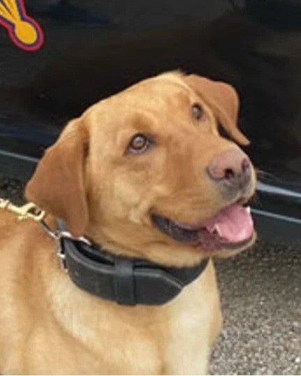 K9 Cooper - Muskingum County Sheriff's Department - Ohio