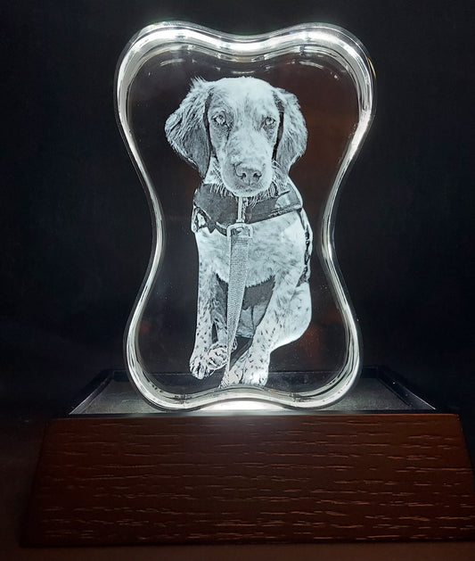 3D Crystal Dog Bone Photo Engraved w/ your photo - Pet, Dog, Memorial, 3D Picture Crystal Gift Dog Bone, Man's Best Friend