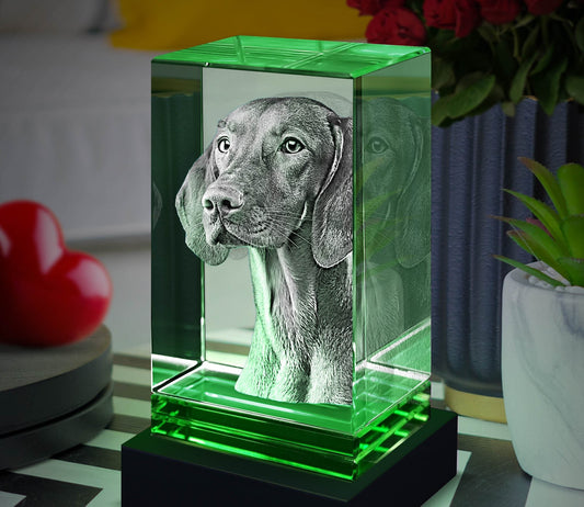 Green Skirt Keepsake 3D Portrait or Landscape - 3D Custom Engrave - Mother's Day, Valentine's Day, Father's Day, Birthday, Anniversary