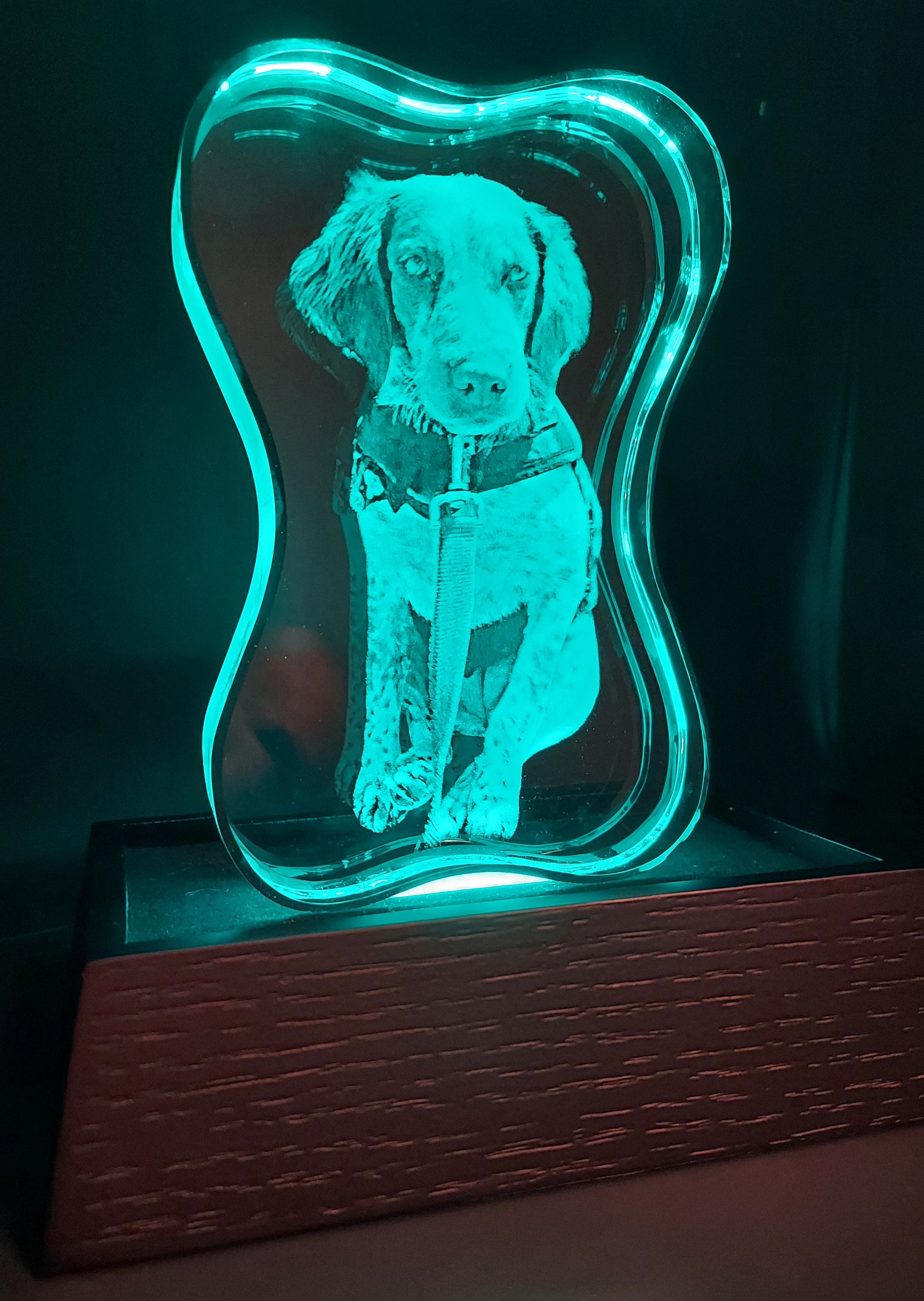 custom laser engraved 3d crystal dog bone 