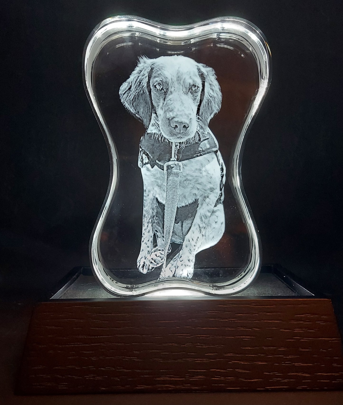 custom laser engraved 3d crystal dog bone 