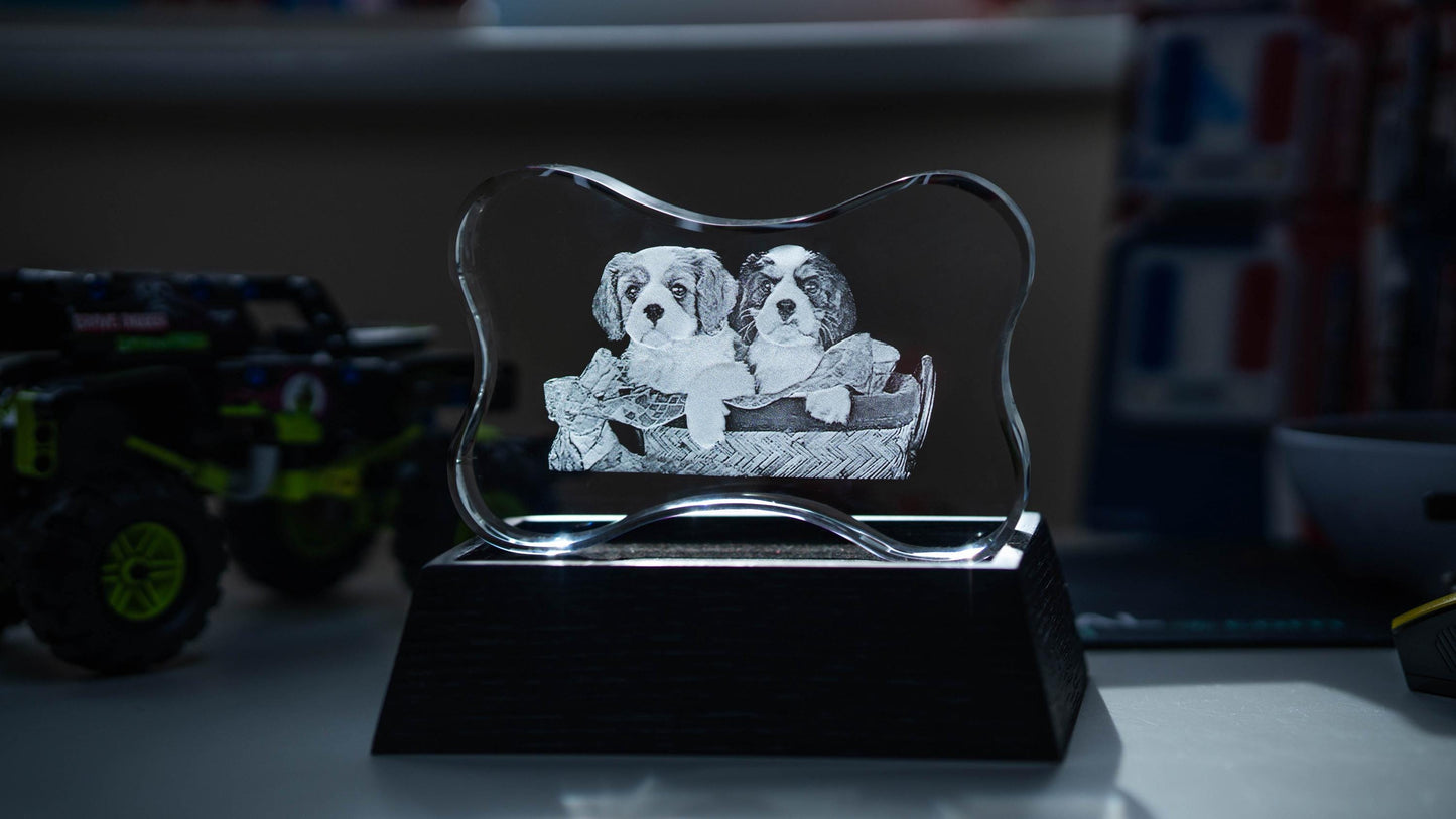 custom laser engraved 3d crystal dog bone 