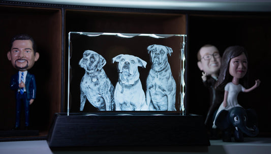 3D Notched Crystal Photo Engraved w/ your photo - Mother's Day, Father's Day, Memorial, Mom, Dad, Wife, Husband, Pet 3D Picture Crystal Gift